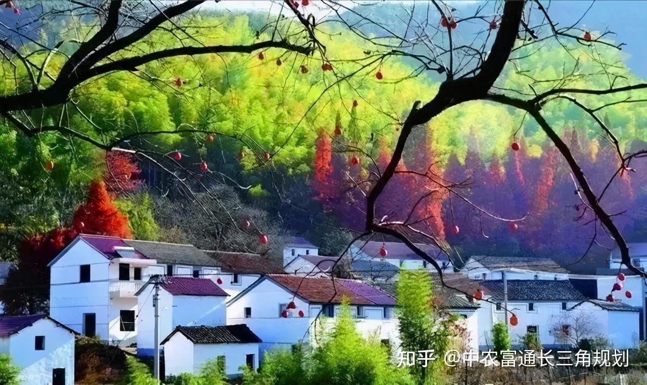 乡村紧缺的种植方法