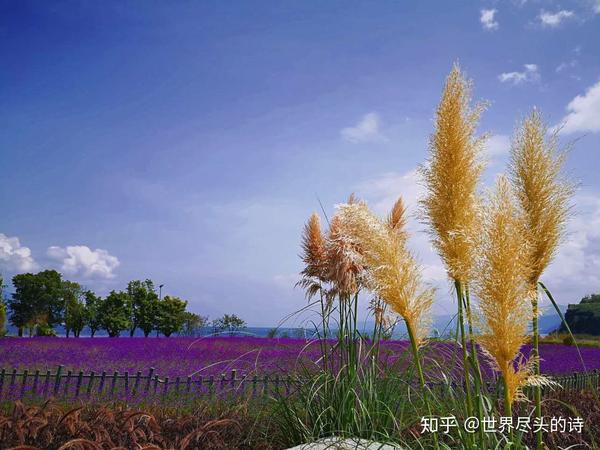 铜湖攻略