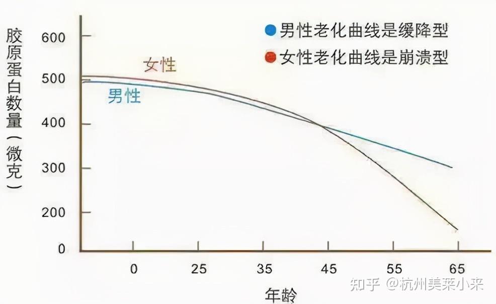 男女衰老曲线图图片