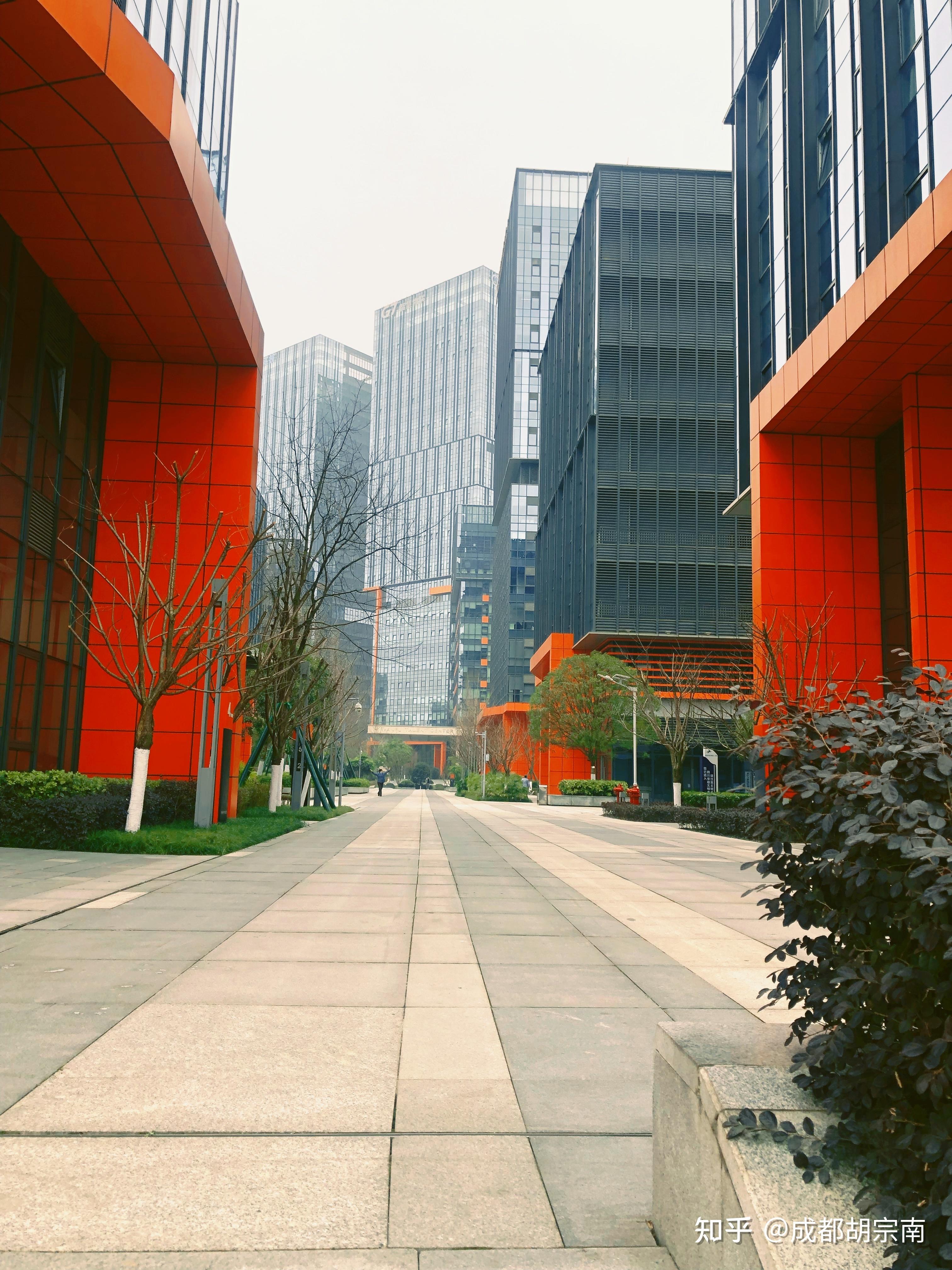 写字楼四川成都市天府新区兴隆湖天府菁蓉中心