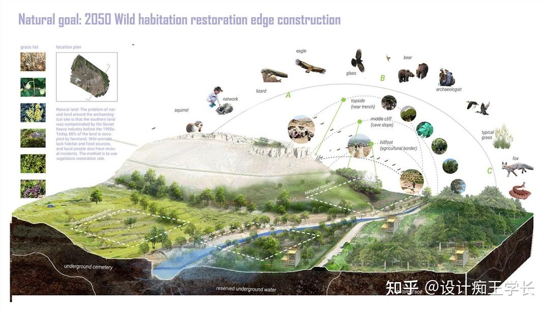 设计留学 | 植物分析与植物表现,都有哪些常见的形式? - 知乎