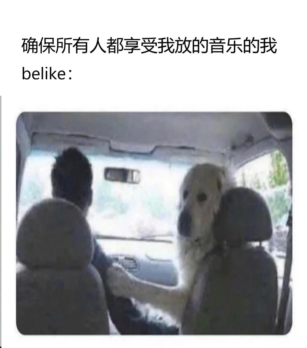 meme梗图⑦(无水印自取) - 知乎