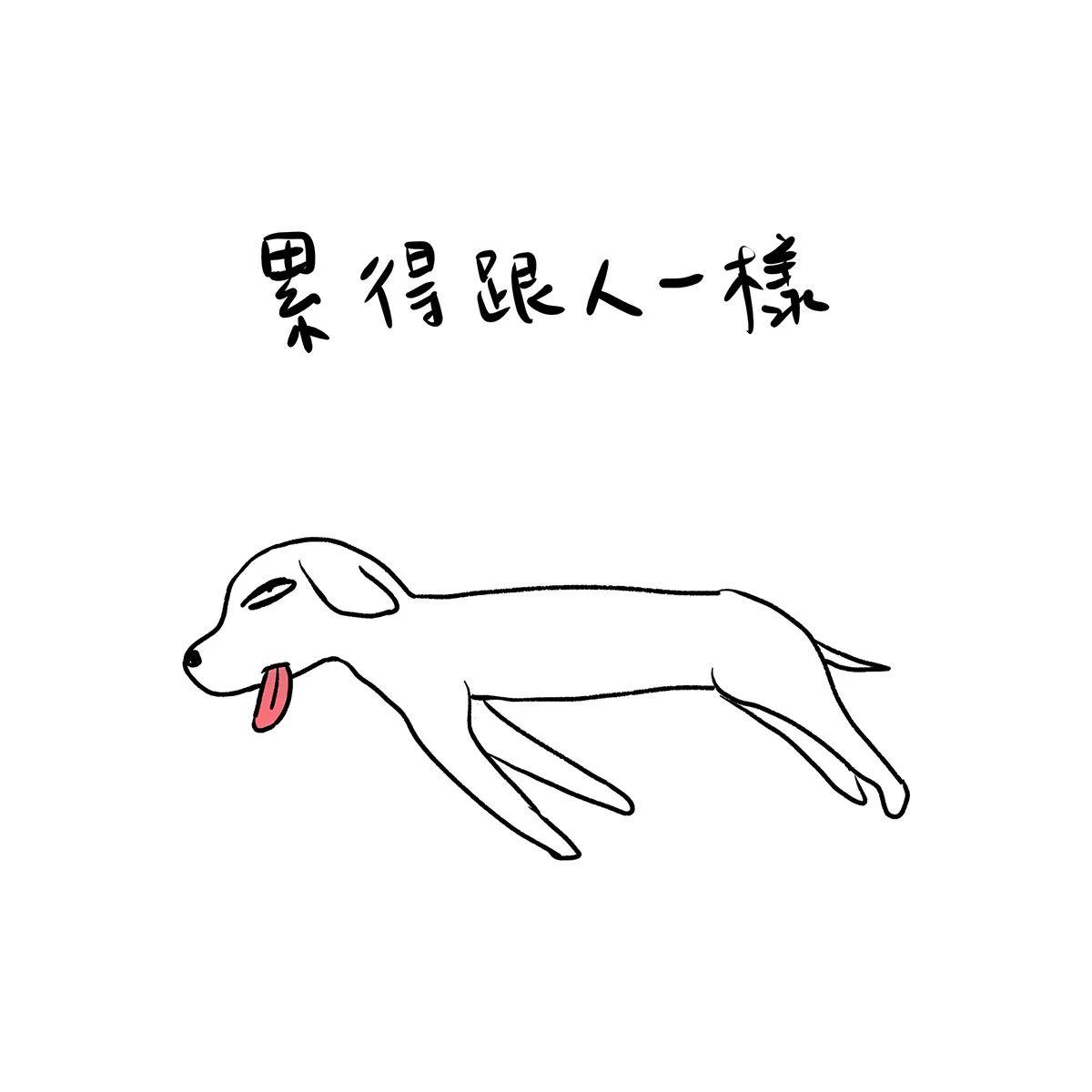 在法国留学累成狗其中辛酸谁能懂