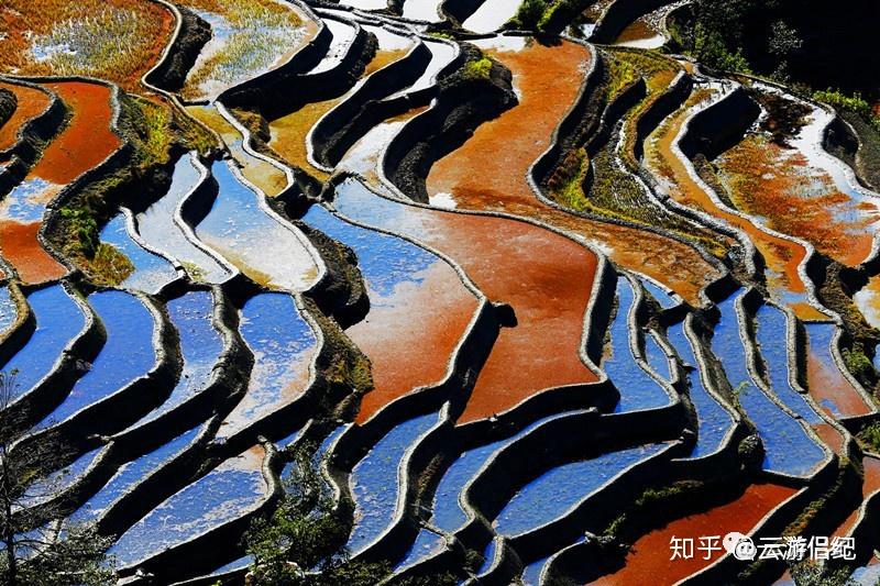 山林地形交错,立体气候突出,降雨量大,久而久之,旱地耕作越来越减少