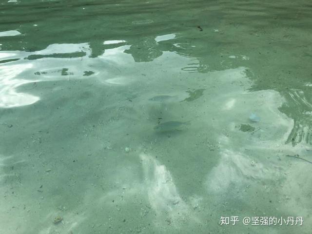 Malaysia Traviling 马来西亚沙巴自助游攻略