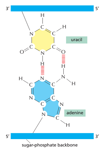 v2-6ab98176bee2d683f51c9c1b883af7eb_b.jpg