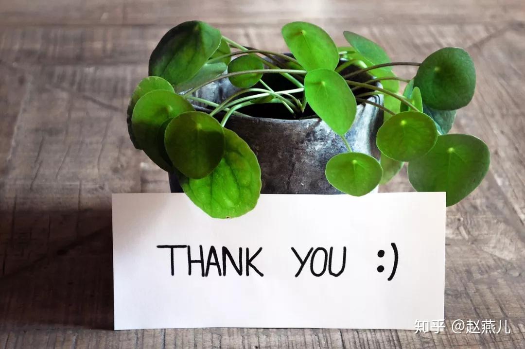 除了thank you,还能怎么表达感谢?30句表达感谢的句子,收藏备用 - 知乎