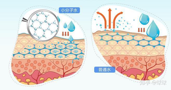 去角质让你的肌肤食欲大增