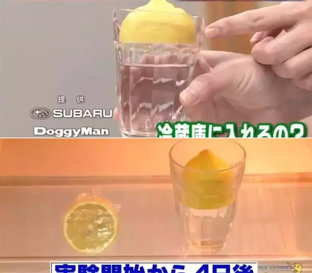 100条生活小妙招,分分钟打开新世界的大门,百万家庭省钱必备!-打开新的世界的大门英语