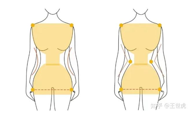 折角腰和双c腰，谁才是你的梦中情腰？ - 知乎