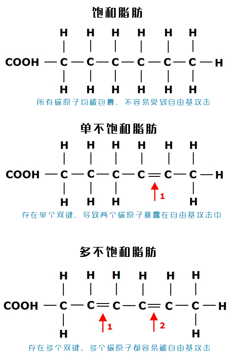 脂肪的穩定性與分子結構有關.飽和脂肪的穩定性高於不飽和脂肪.