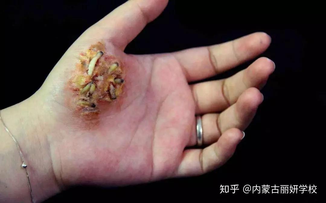 伤效妆你怕吗伤效晚课即将开课了