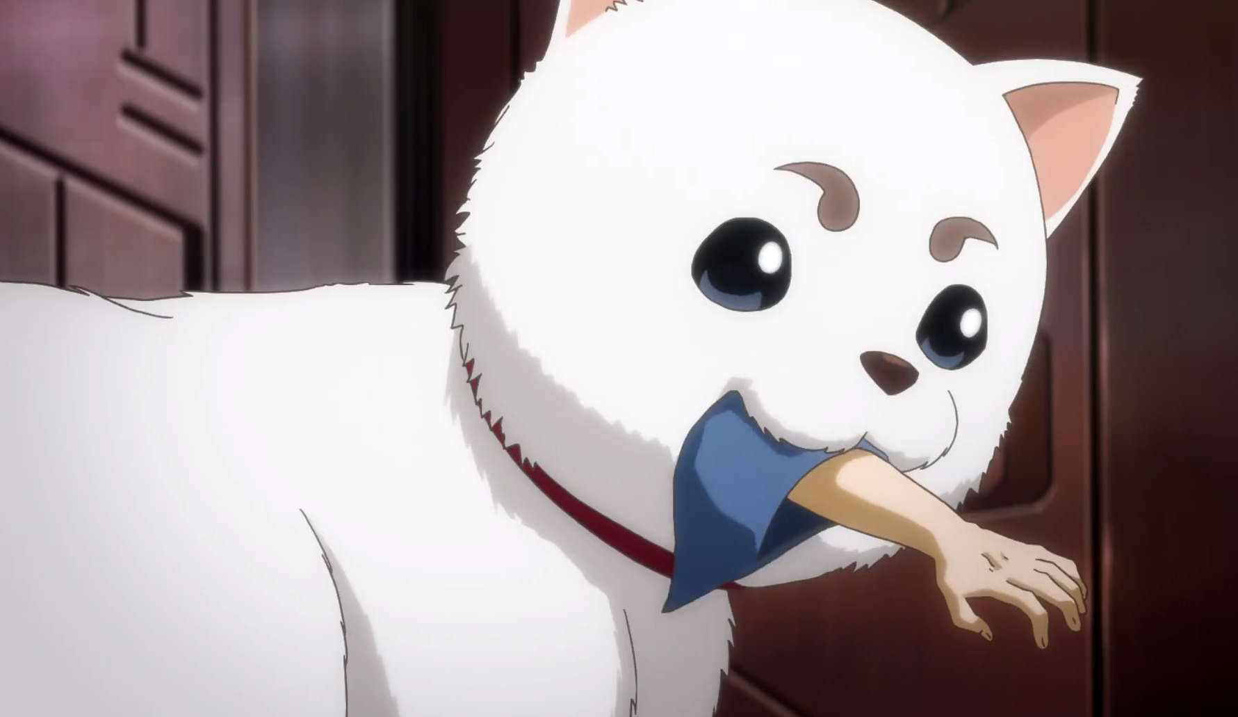 相信不少小伙伴入坑《银魂》,便是为其独特的无厘头搞笑风格所吸引.