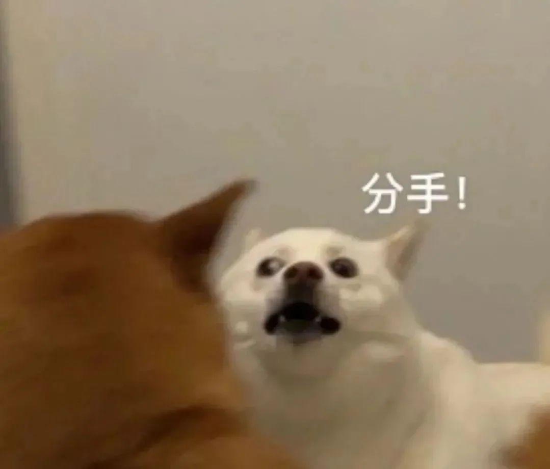 奶凶奶凶表情包 - 知乎