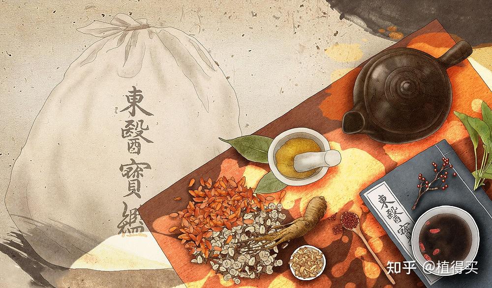 中药代茶饮,喝对才有效,这五个事项要牢记! - 知乎
