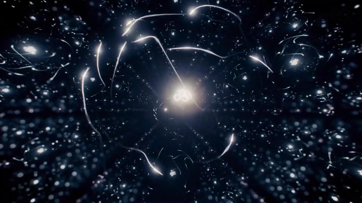 通俗易懂什么是量子态什么是波函数什么是粒子自旋