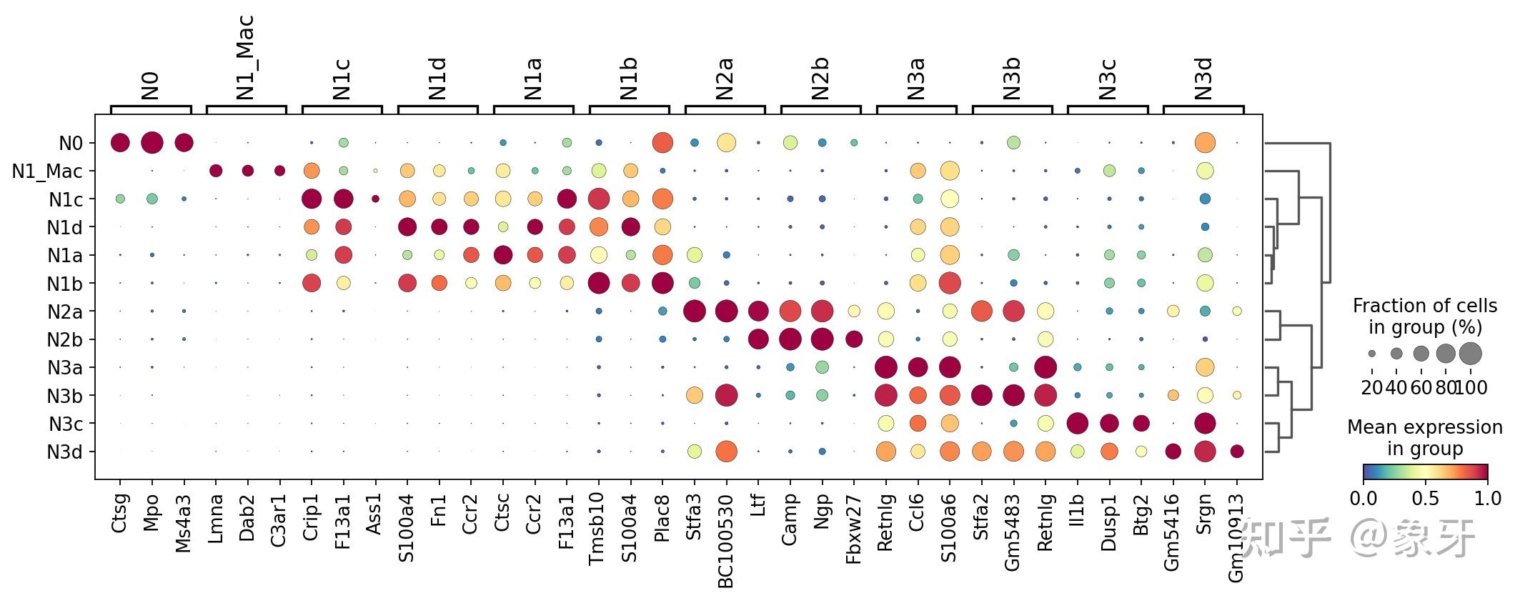  cosgr a unique method to identify cell marker gene 