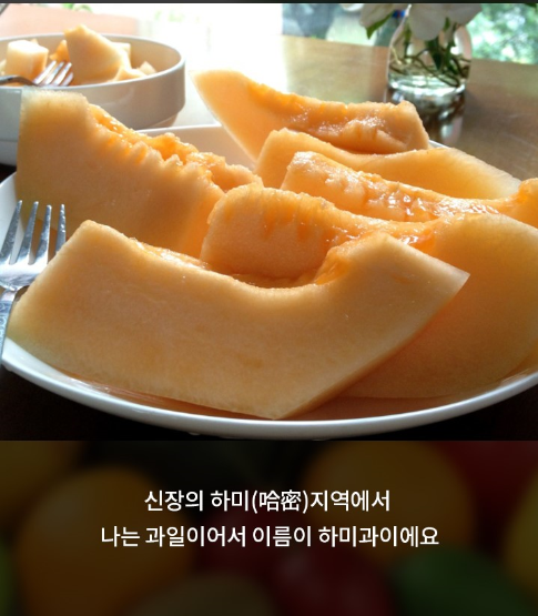 那些韩国没有的水果