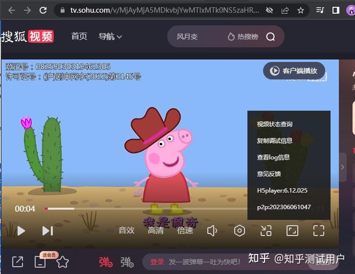 如何下载搜狐SOHU视频插图