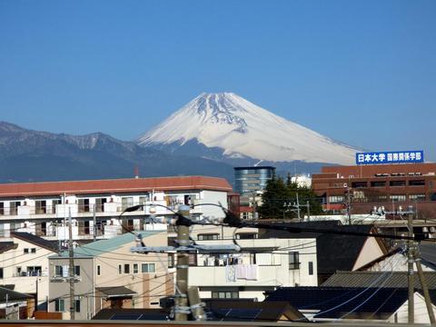 早稻田大学怎么样 知乎