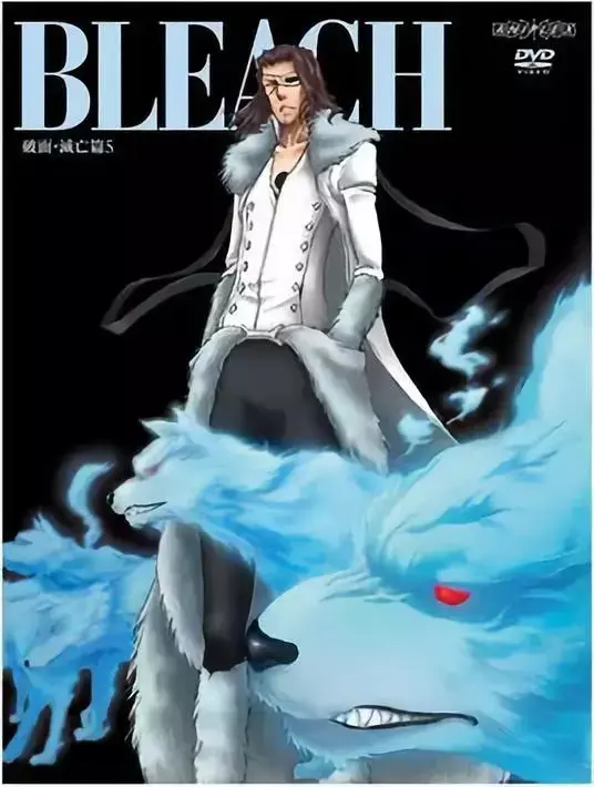 死神bleach 中的十刃 你知道象征哪十种死亡因素吗 知乎