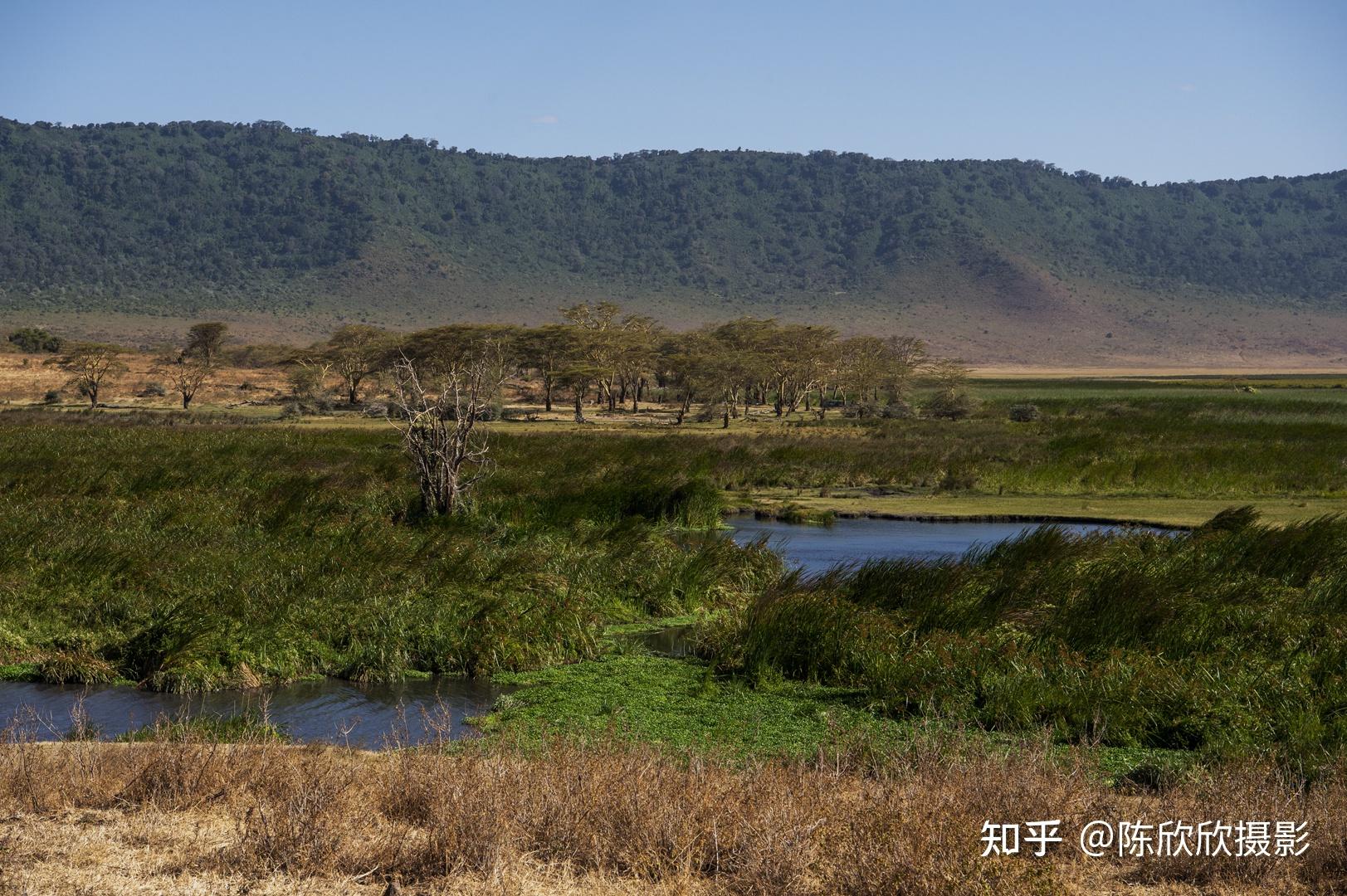 羅恩格火山口野性與浪漫共舞