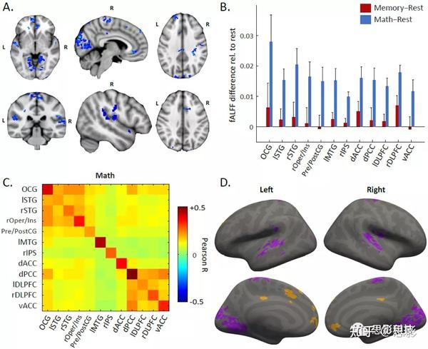 利用脑电和功能磁共振成像(fMRI)捕捉自我生成、任务启动的思维的时空动态 - 知乎