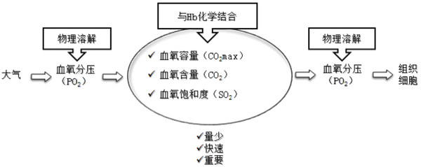 《病理生理学》缺氧!!学习资料分享!! - 知乎