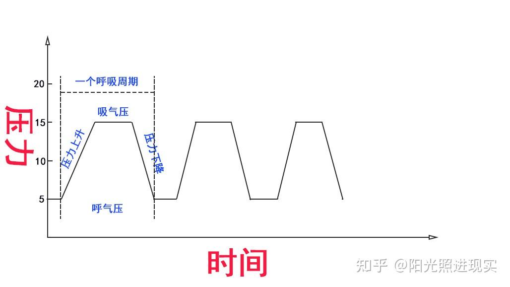 吸气压和一个相对低一些的呼气压,从而减轻佩戴者呼气时所需要的的
