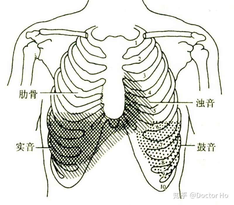 1  潮式呼吸 cheyne– stokes呼吸  2  间停呼吸 biots呼吸  3  抑制