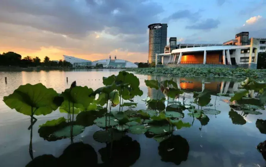 加油鸭哲学考研丨浙江大学院校介绍报考分析参考书目复试分数经验分享