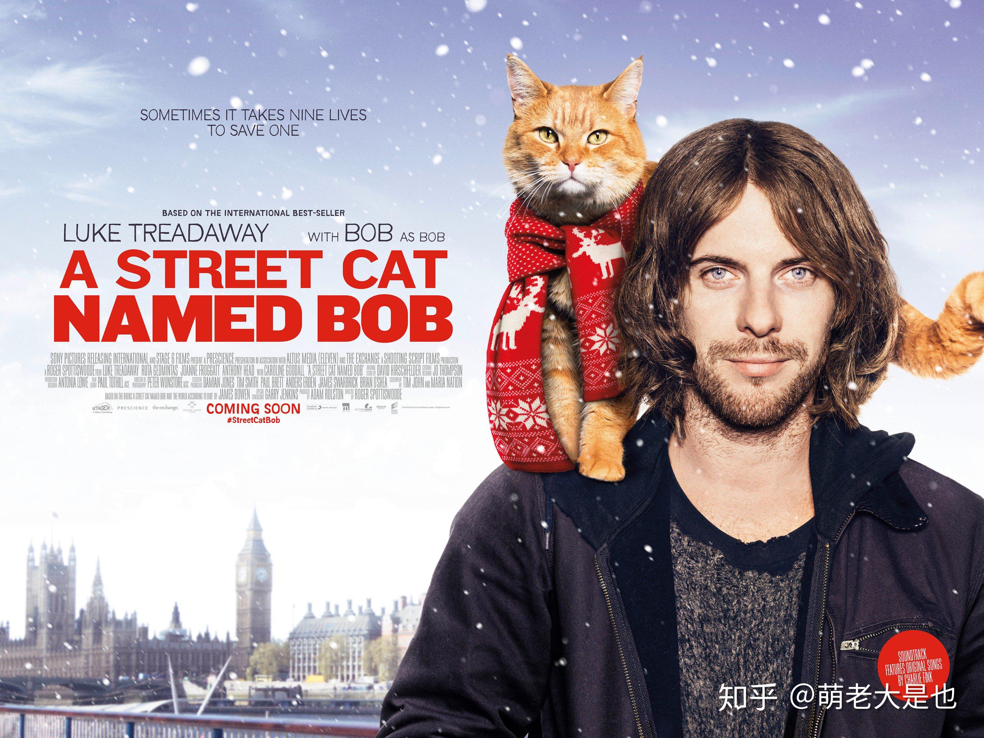 萌老大小安利这些关于宠物的电影你看过吗