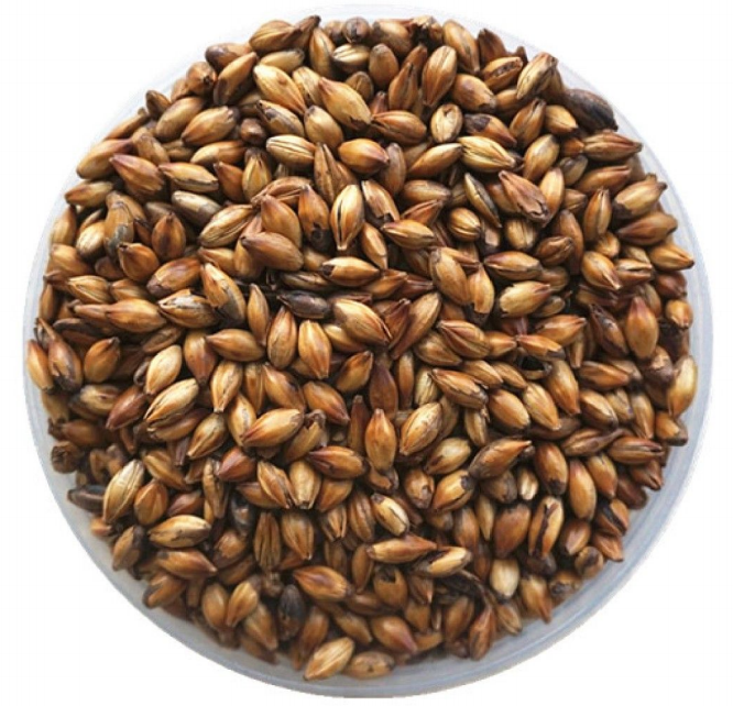 精酿啤酒原料之麦芽的检查和鉴别