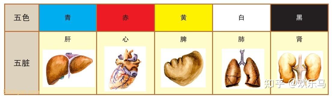 邪气脏腑病形:邪气对脏腑的侵袭 - 知乎