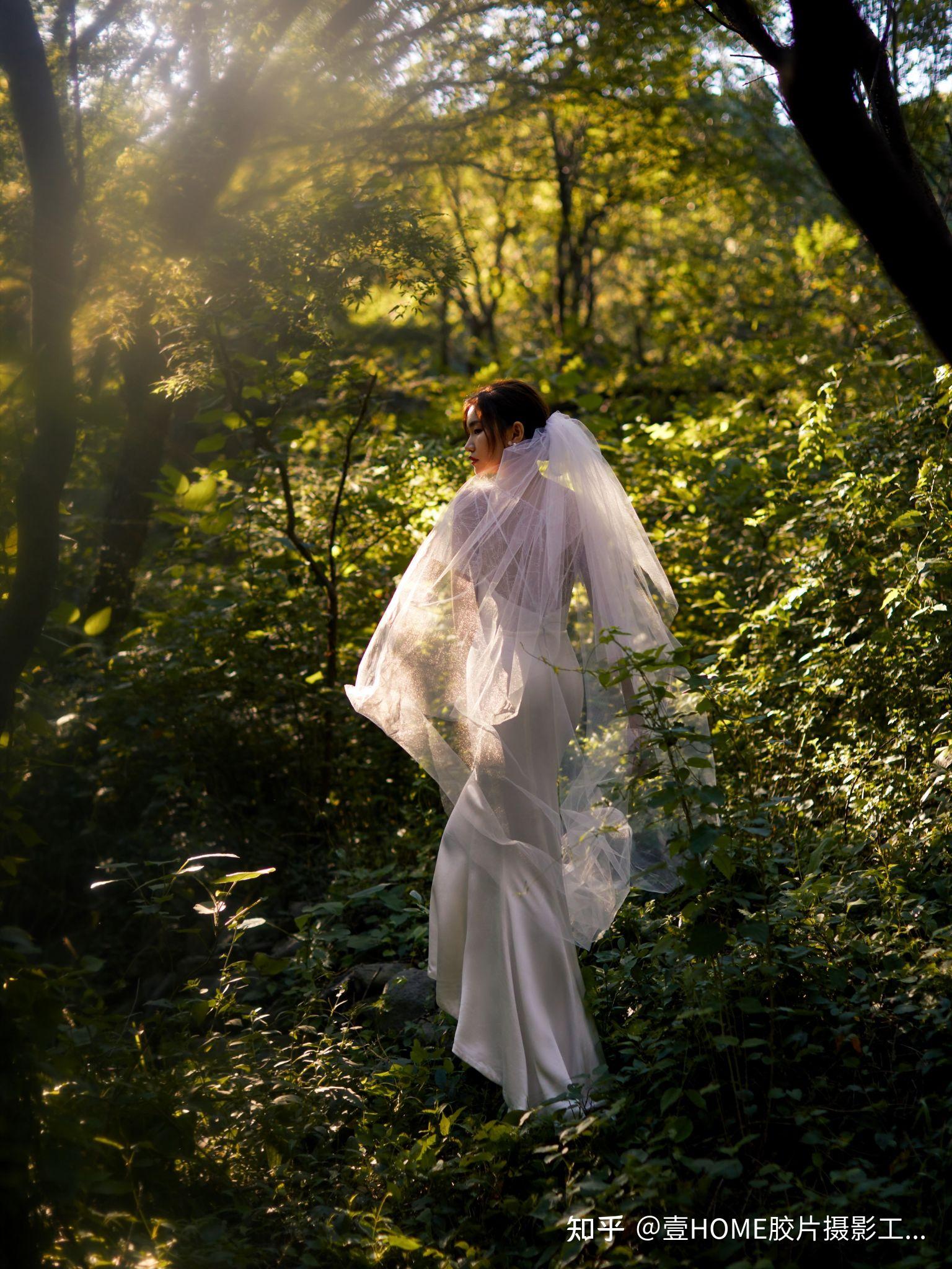 仙气儿治愈的森系婚纱照,轻氧生机感十足～ - 知乎
