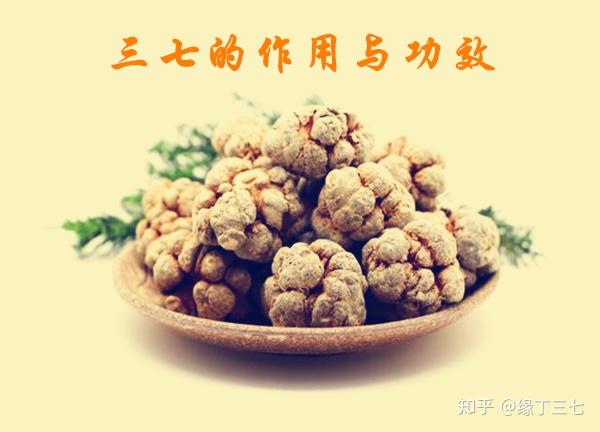 三七的功效与作用吃法