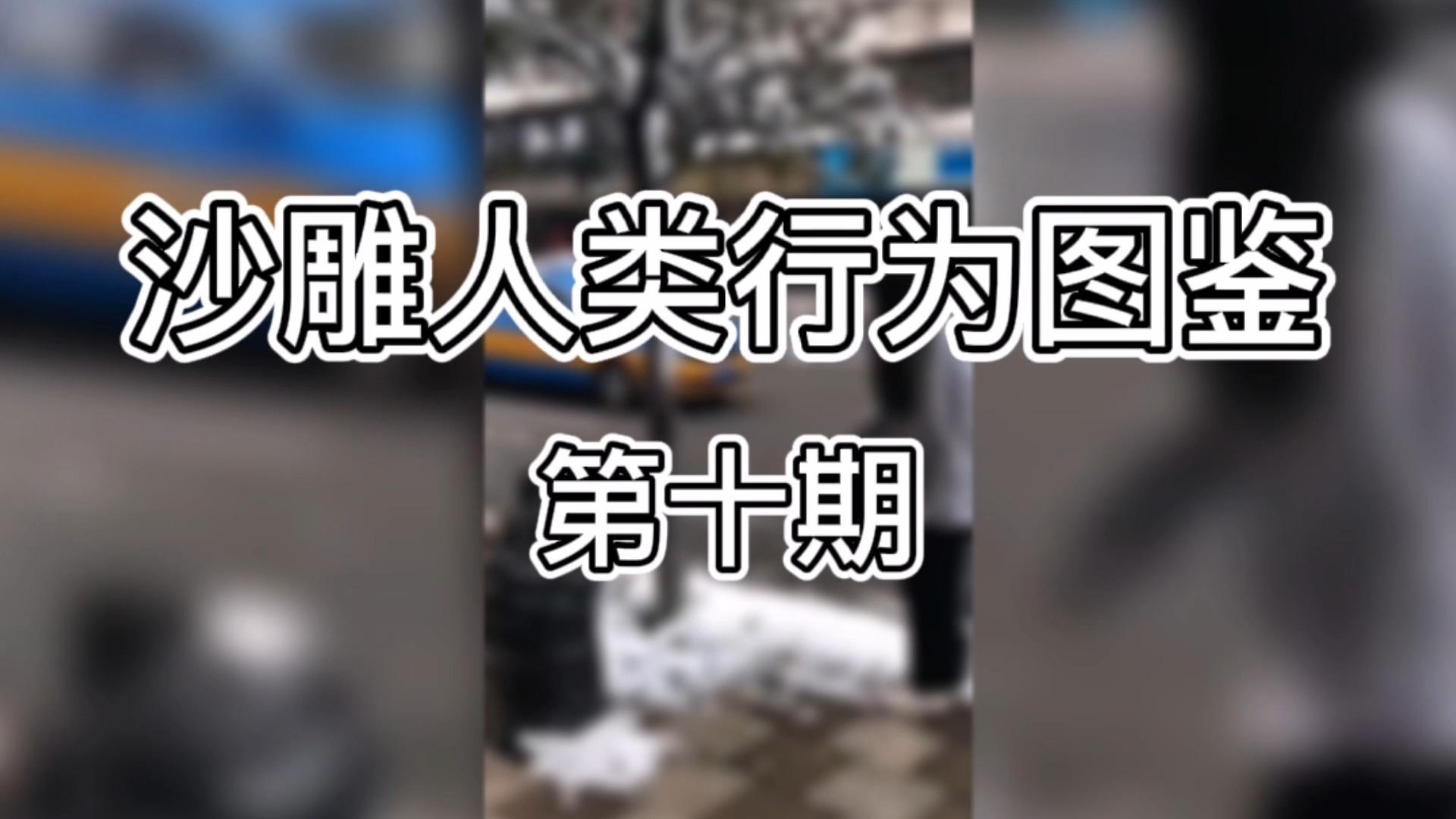 极品沙雕人类图鉴找个这样的媳妇活到50都长寿了