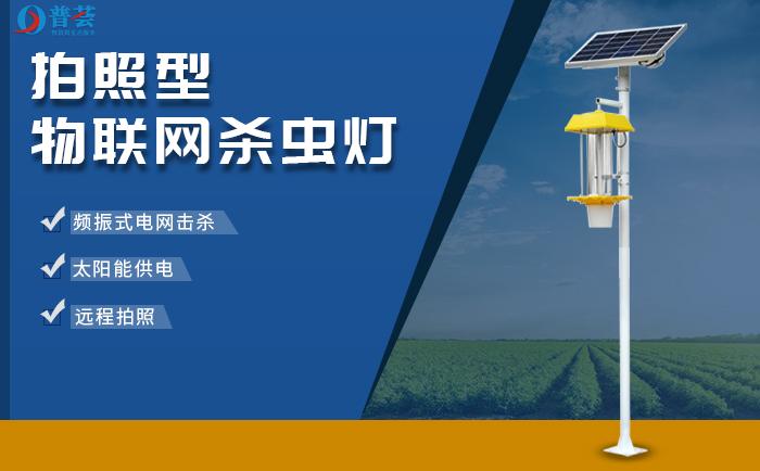 科普|为啥有些昆虫喜欢光？有灯就能“诱”虫？ - 知乎