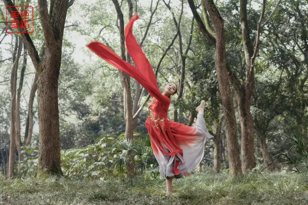 印度琵琶里的中国风元素吟游诗人舞水袖太霸气