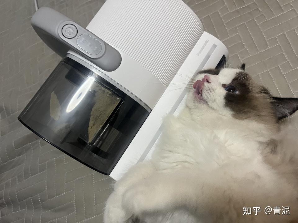 如何正确的晒被子除螨 v2-6bea568c002856afcbcd74cefb01fc6f_r.jpg