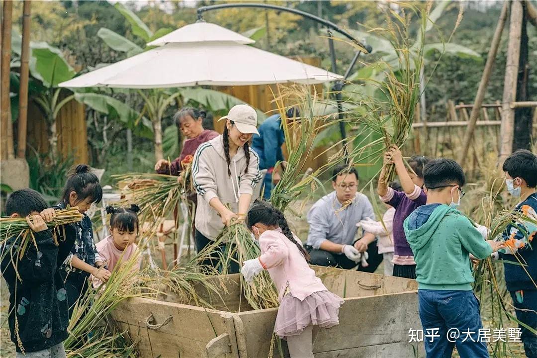 中国人骨子里的老家情结 - 知乎