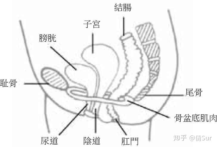 v2-6bfce939ffc6c4869d4a014b0819e127_r.jpg