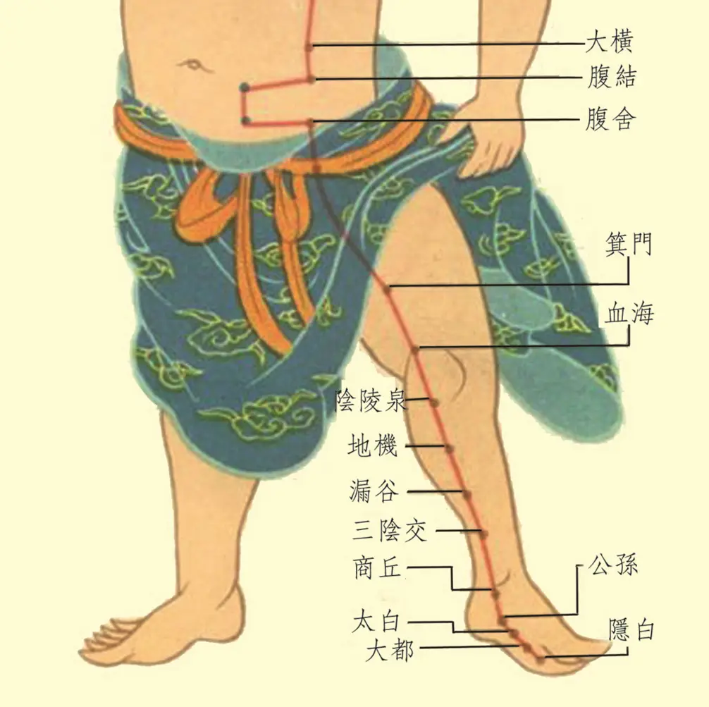 被脾虚折腾半年,我靠每天“揉脾经”这条线,整个人都舒坦了! - 知乎