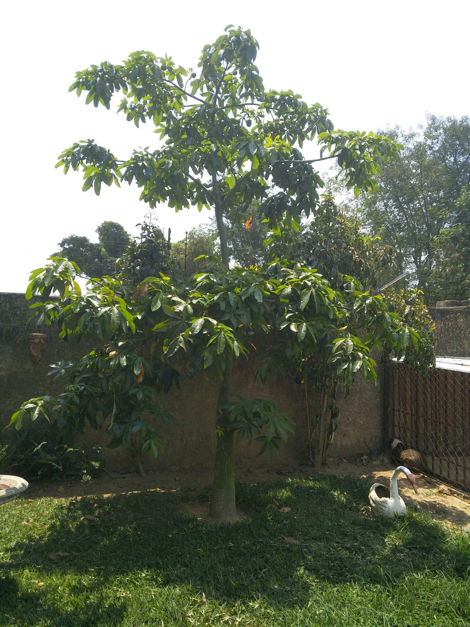 去非洲赞比亚工作的注意事项(衣食住行)?