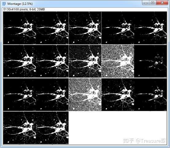 quantify threshold imagej within selected area