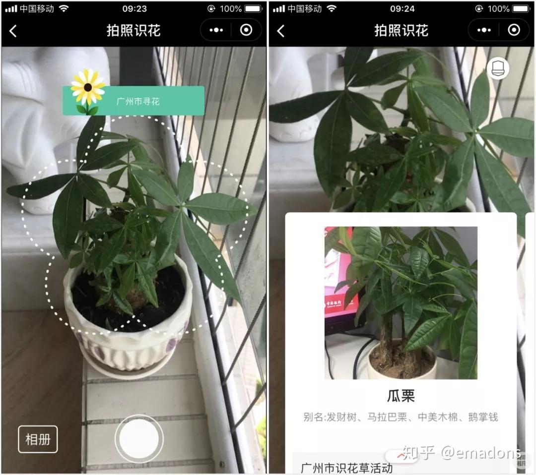识字识花识图全都有推荐4款高效的识别小程序