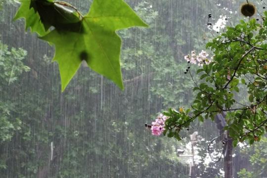 廣東今日陰雨上線明起雨勢增強