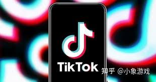 tiktok蓝V号