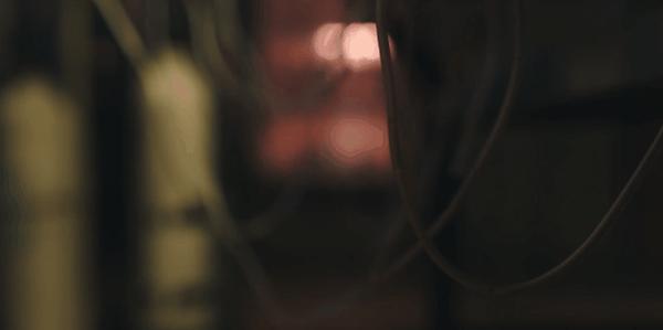 《死亡之花》开年最“疯”，冲击力满分！