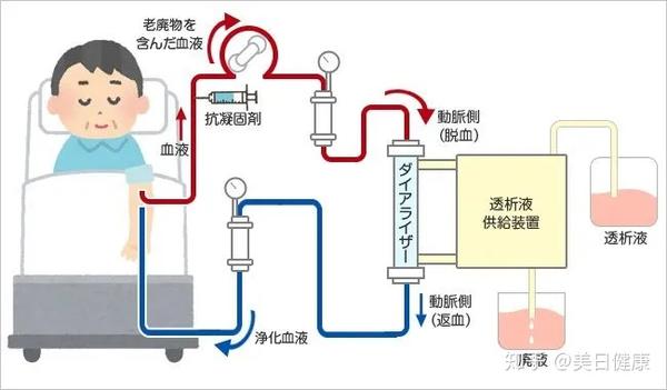 血液净化大健康图片